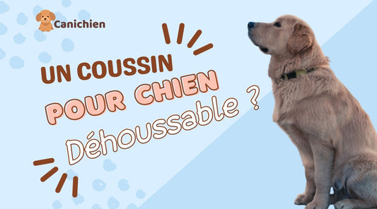 coussin-chien-dehoussable