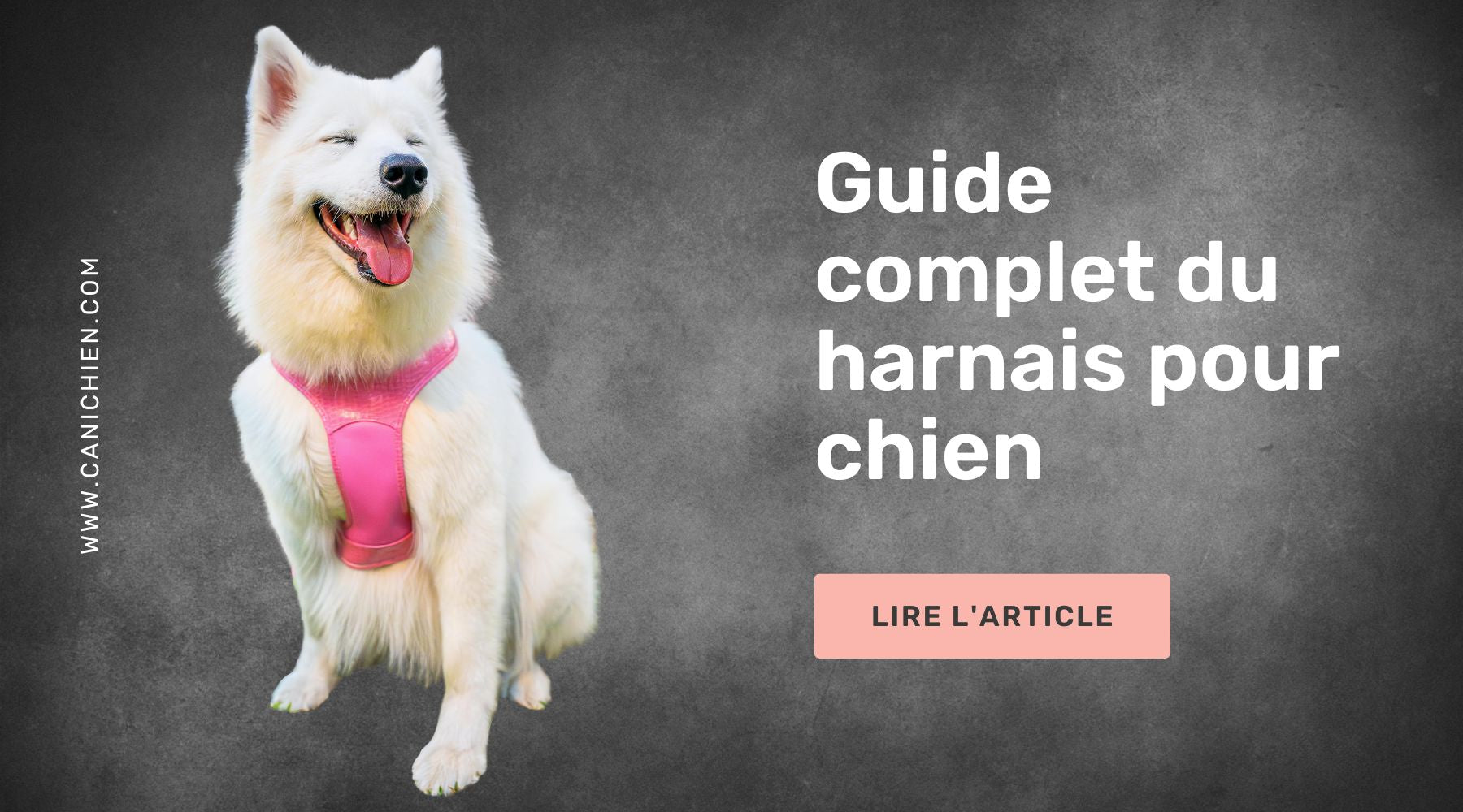 Harnais en cuir huilé fabriqué aux États-Unis avec extrémités