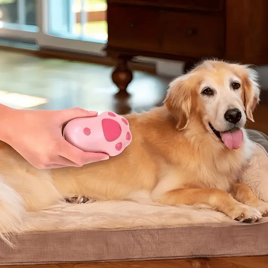 Brosse-vapeur-pour-chien-rose-massant