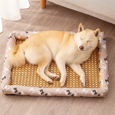 CHIEN-TAPIS-RAFRAICHISSANT-animal