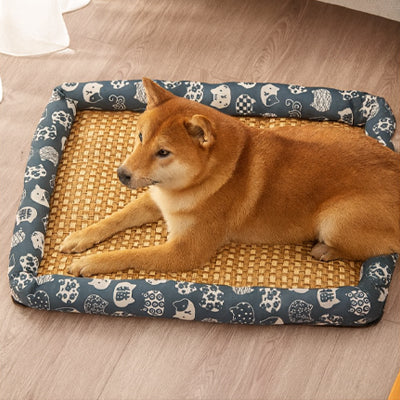 CHIEN-TAPIS-RAFRAICHISSANT-chat