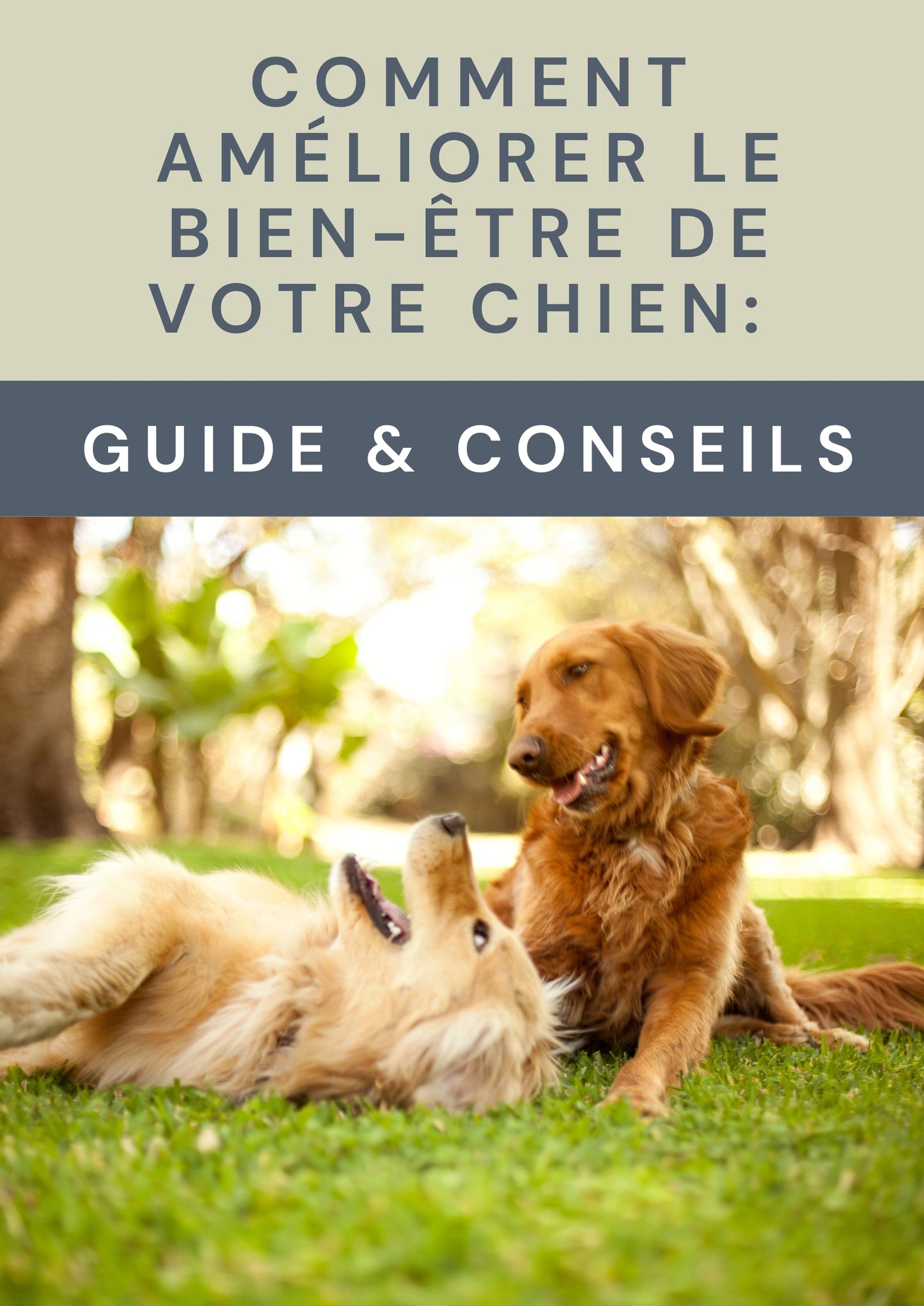 Ebook - Comment amélioré le bien être de votre chien