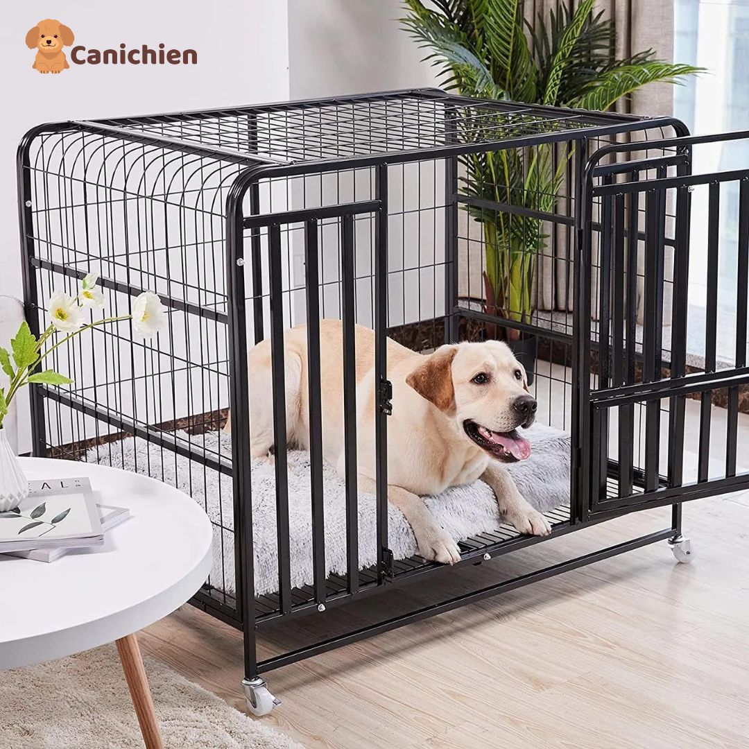 Tapis-pour-chien-dans-cage
