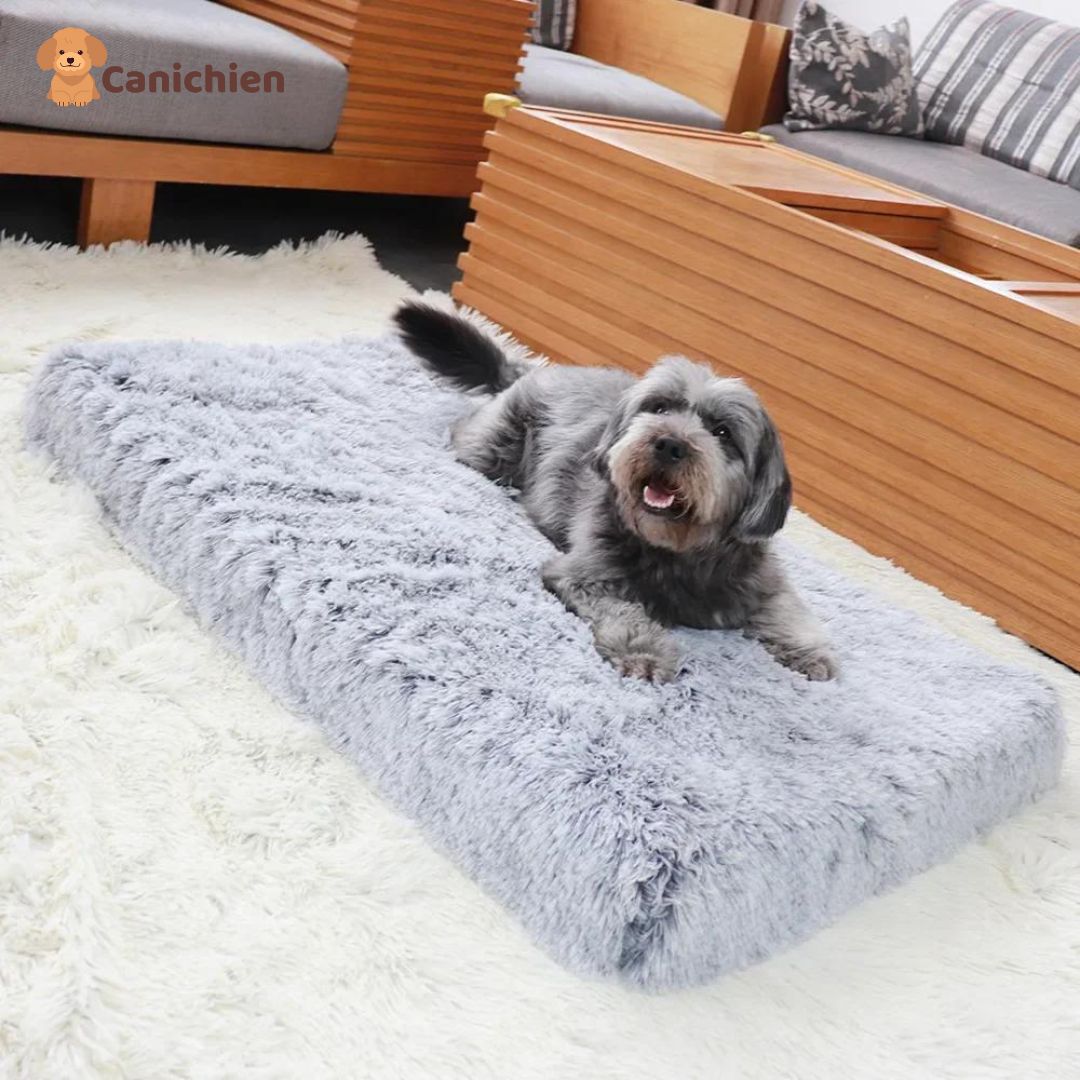 Tapis-pour-chien-doux