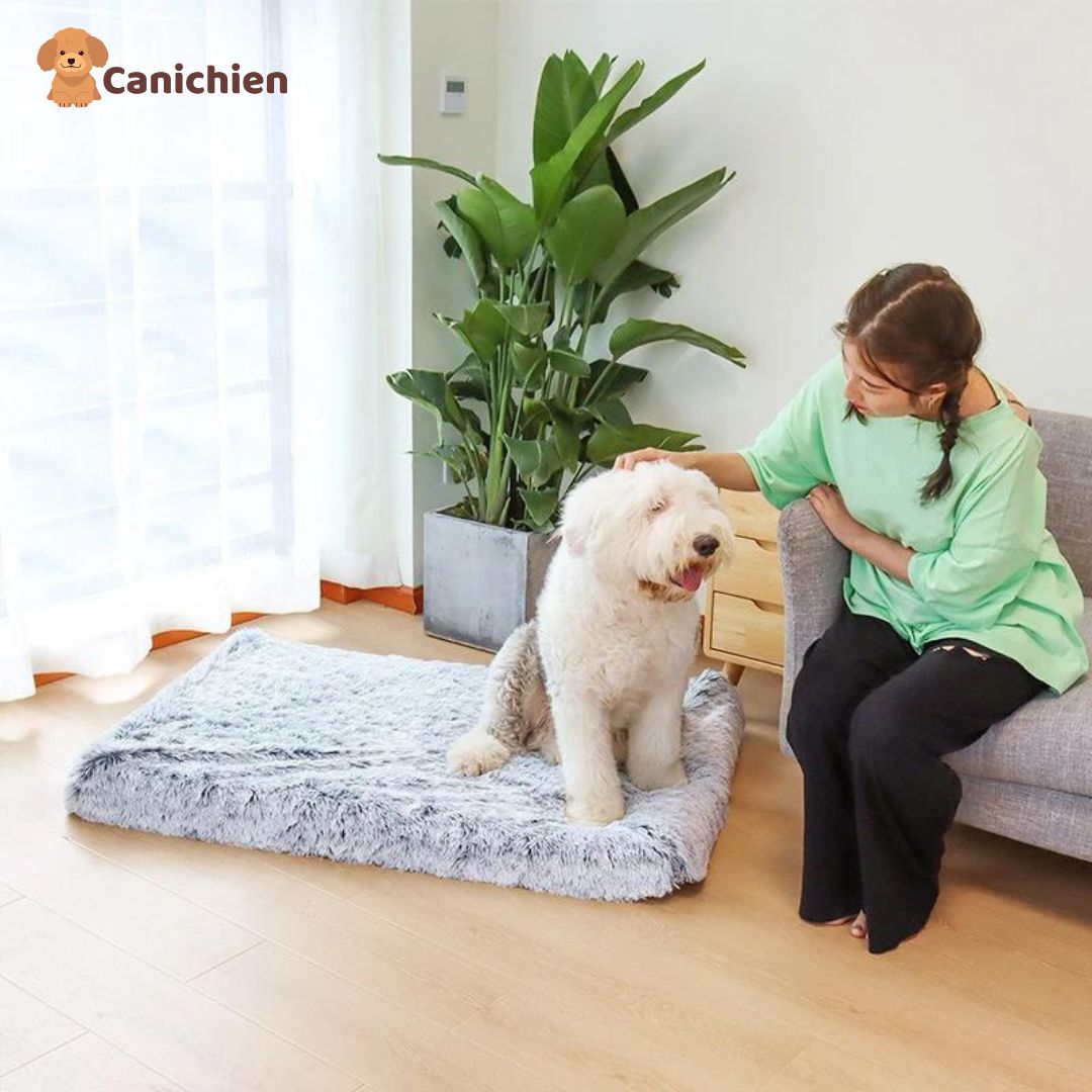 Tapis-pour-chien-gris-grande-taille