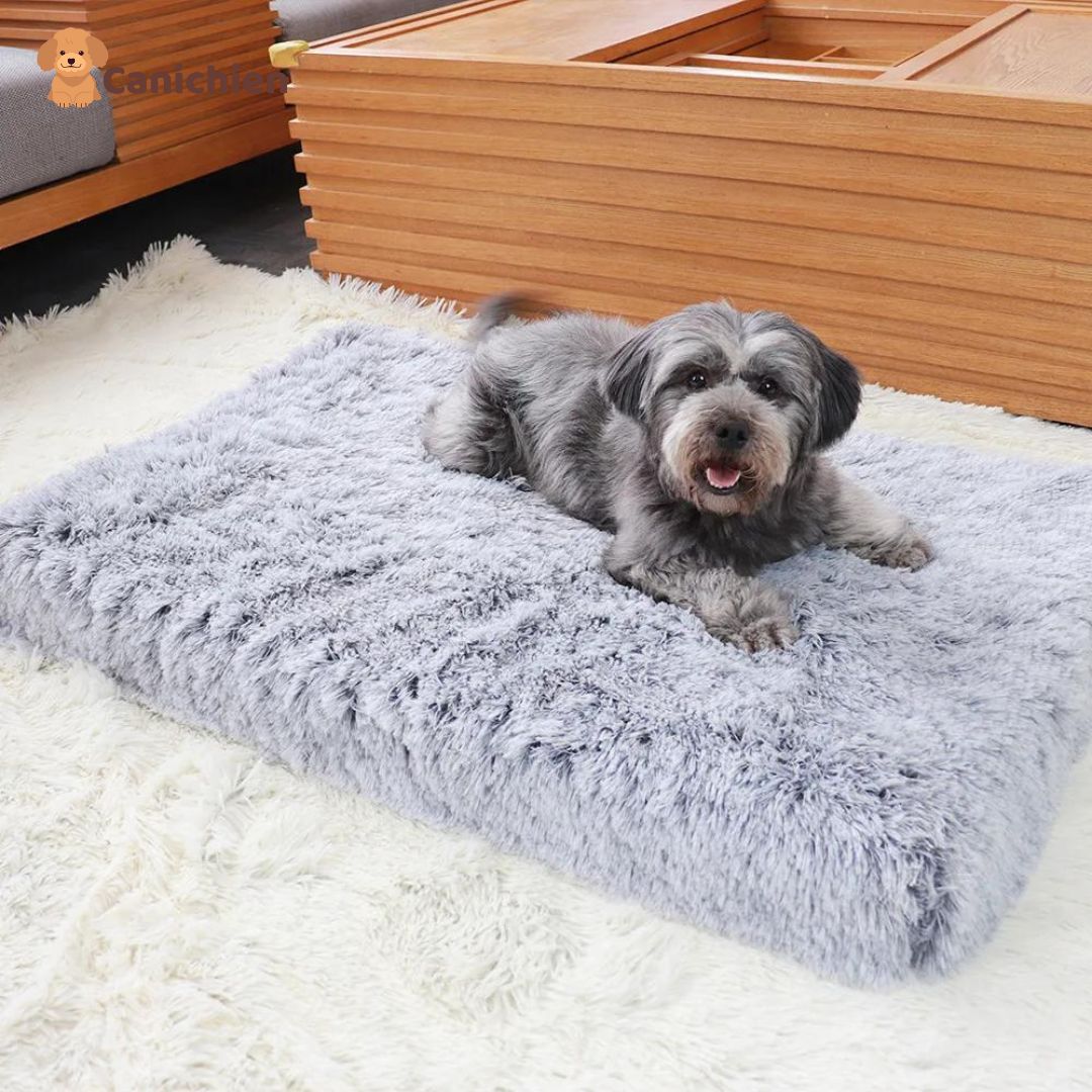 Tapis-pour-chien-gris-taille-M