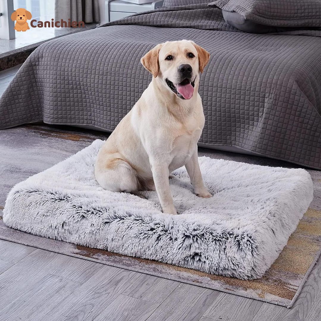 Tapis-pour-chien-gris-taille-XL