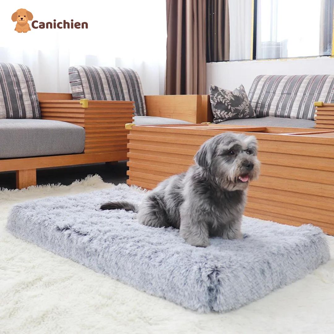 Tapis-pour-chien-gris-taille-moyenne