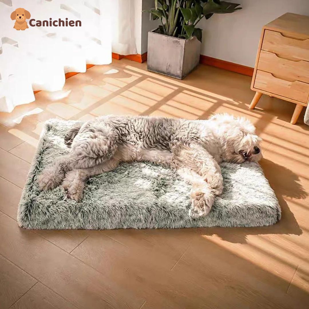 Tapis-pour-chien-orthopedique-gris
