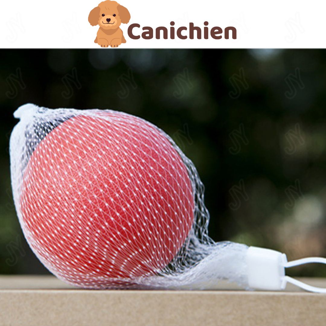 Balle pour chien | IndestructibleBalls™