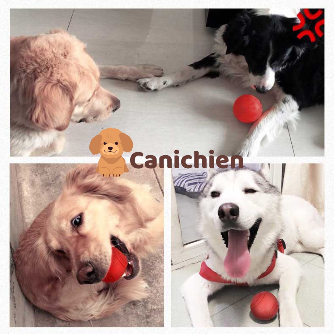 Balle pour chien | IndestructibleBalls™