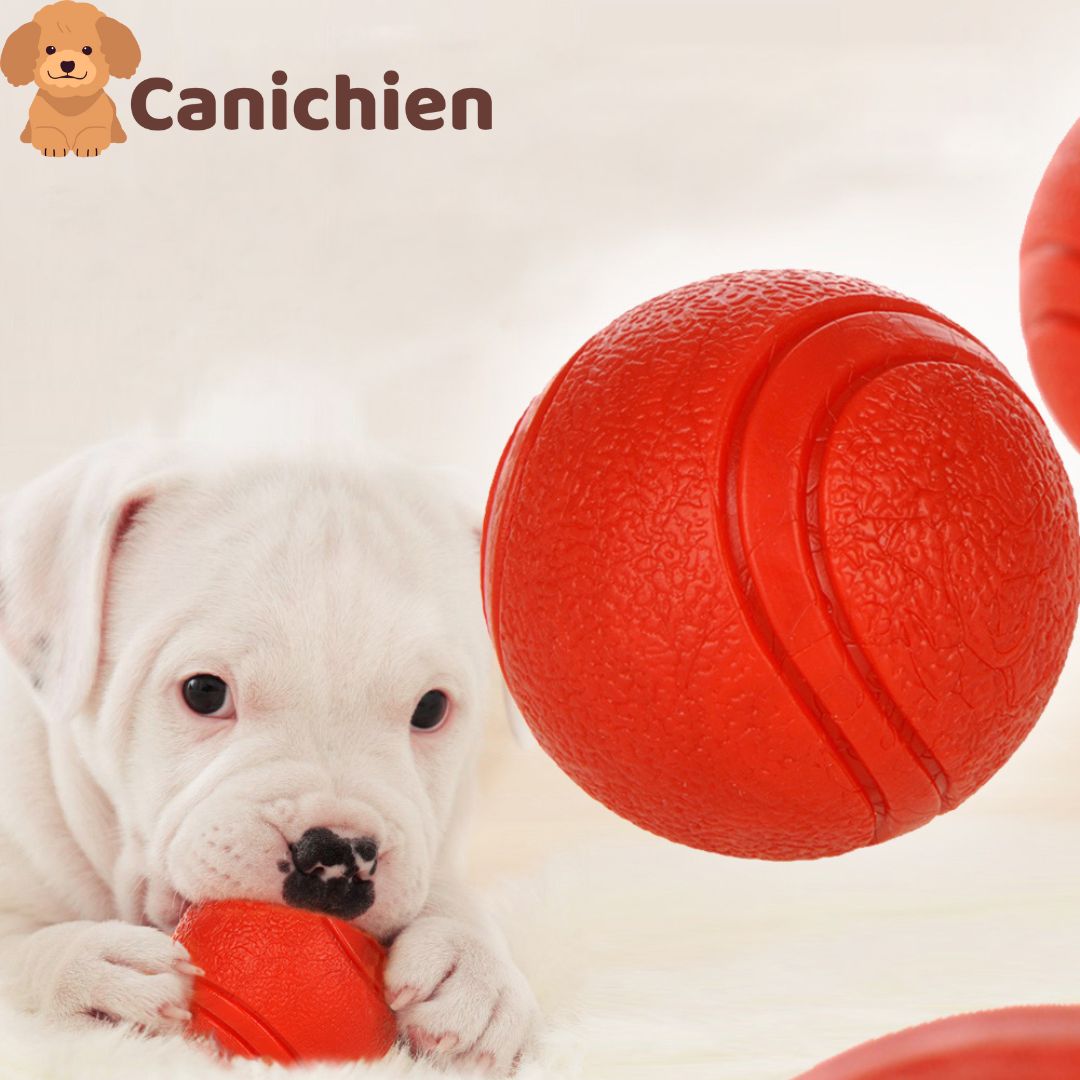 Balle pour chien | IndestructibleBalls™