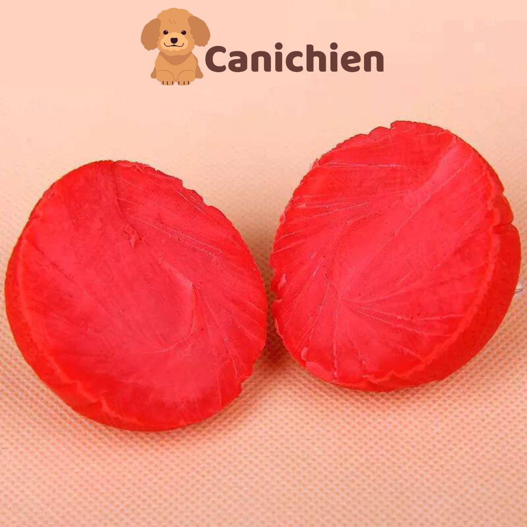 Balle pour chien | IndestructibleBalls™