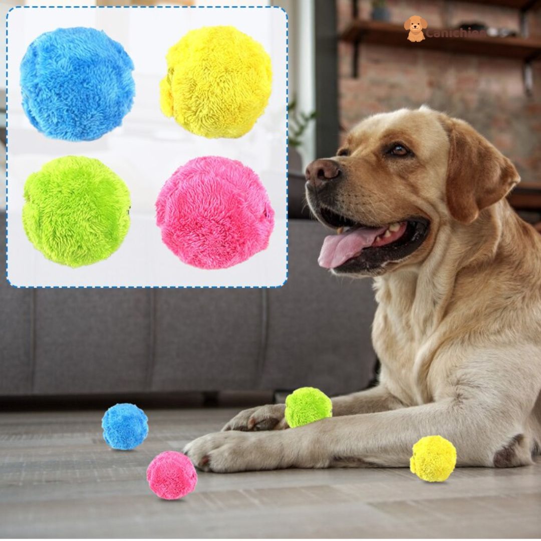 balle-pour-chien-4-couleur