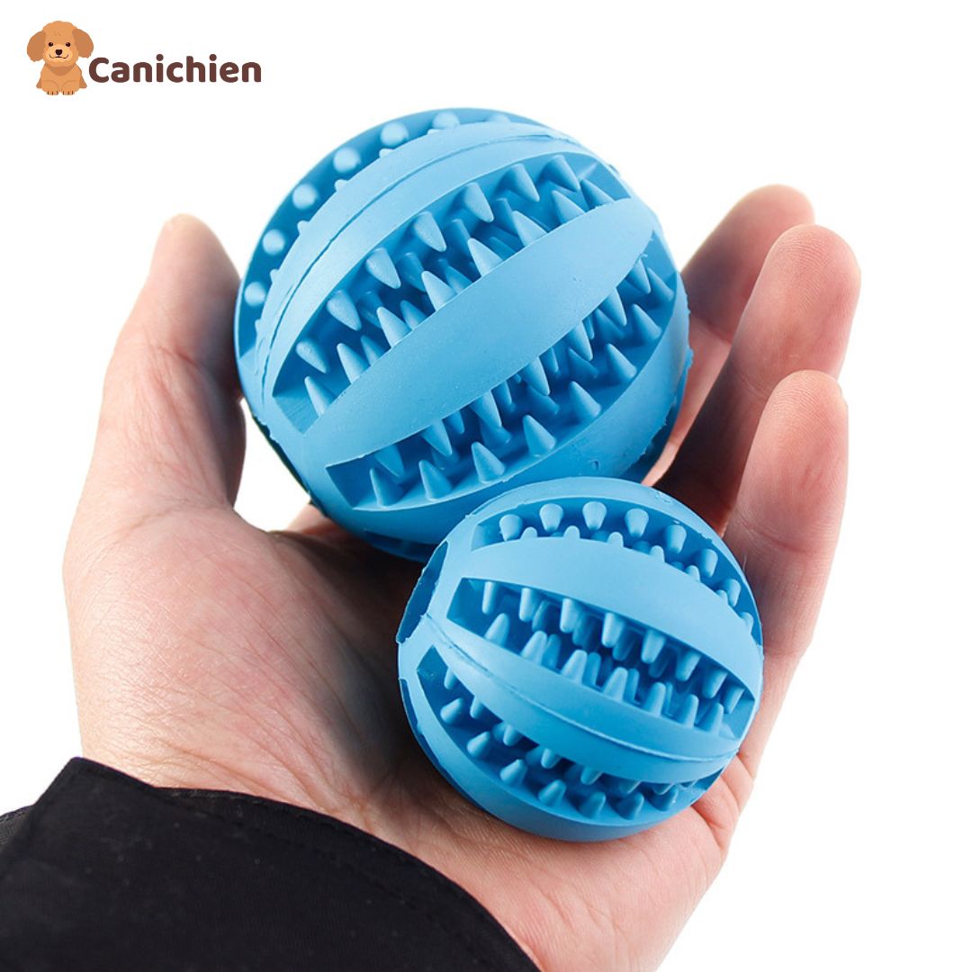 balle-pour-chien-bleu