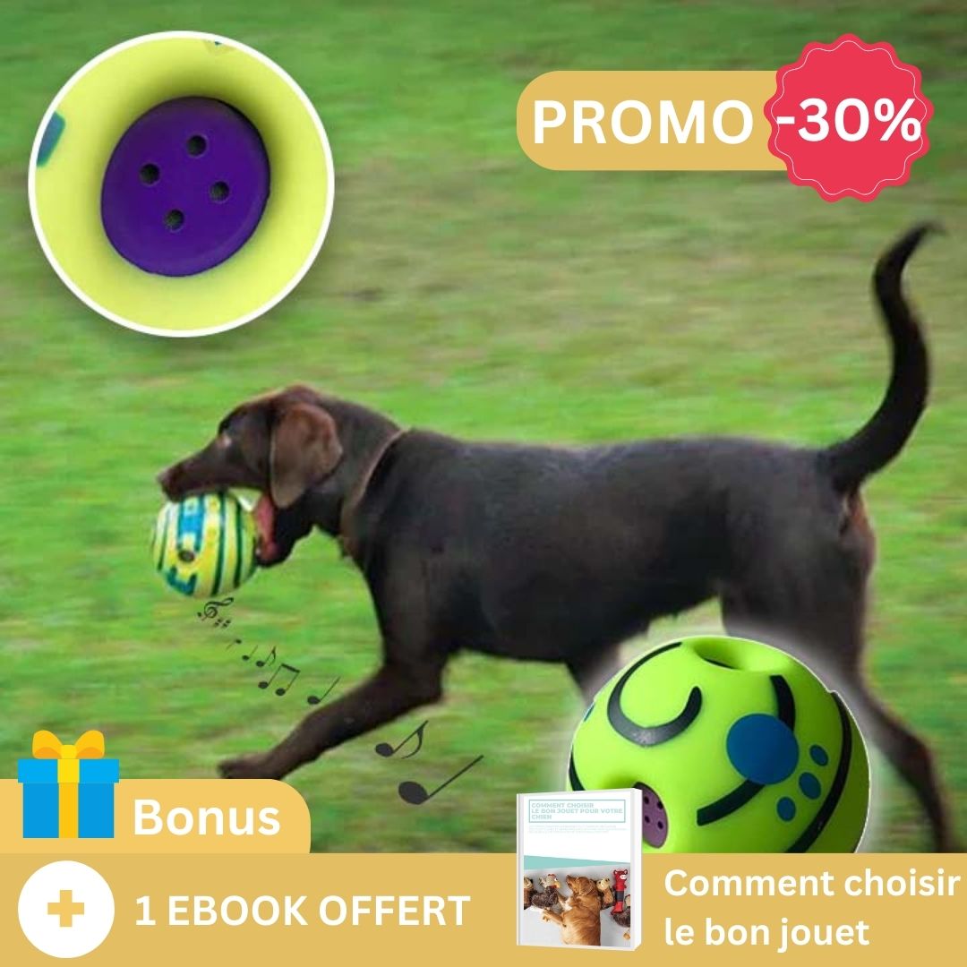 La balle pour chien | PupPlay™