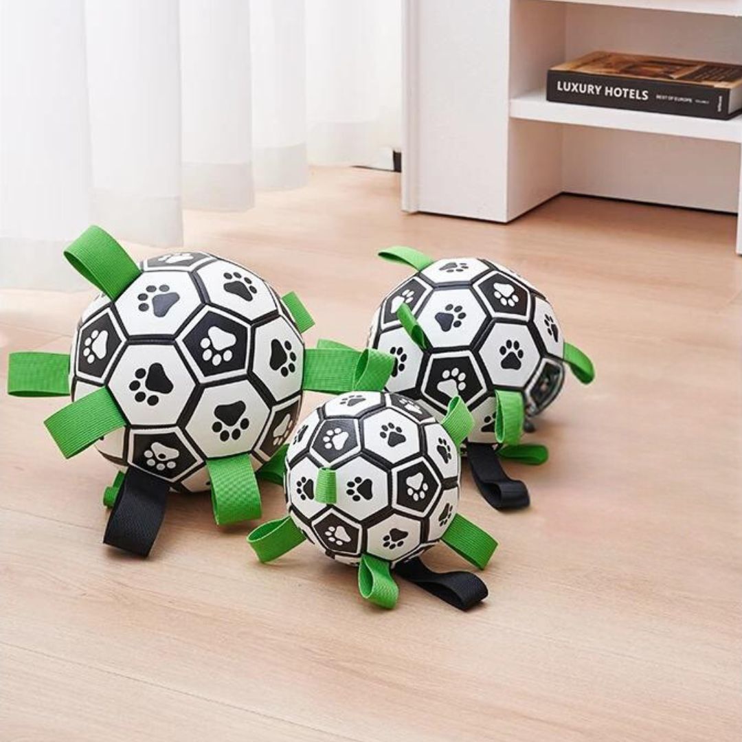 ballon-pour-chien-taille