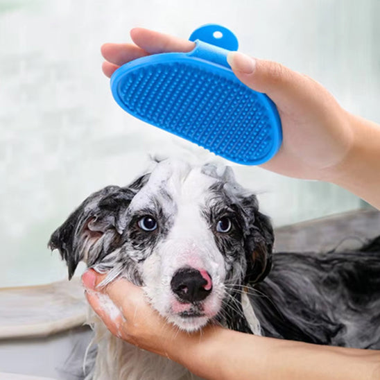 brosse-pour-chien-bain-bleu