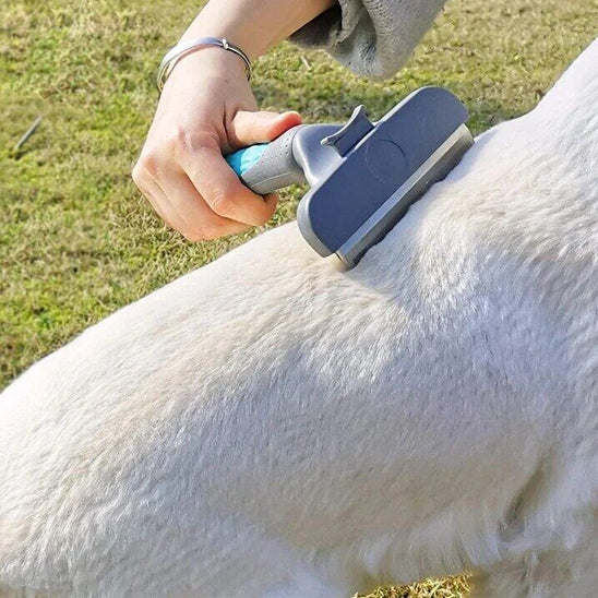 brosse-pour-chien-poil-long-douce