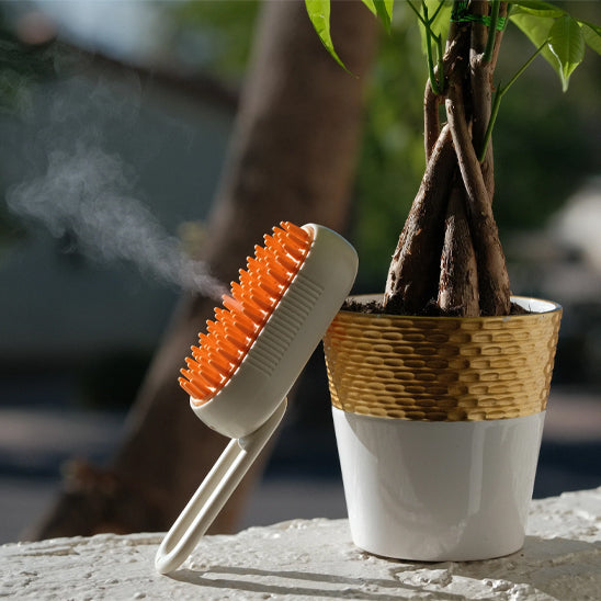 brosse-vapeur-pour-chien-kaki-brume
