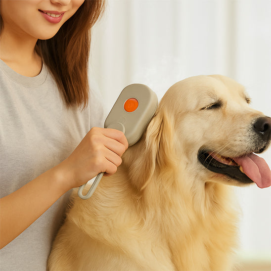 brosse-vapeur-pour-chien-kaki