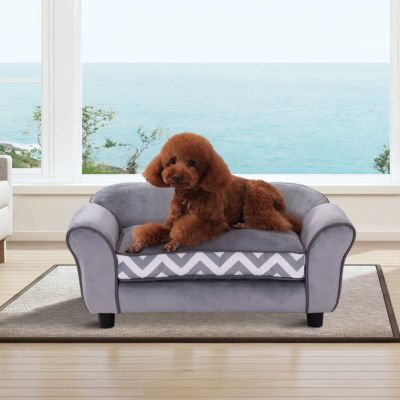 canape-pour-chien-design