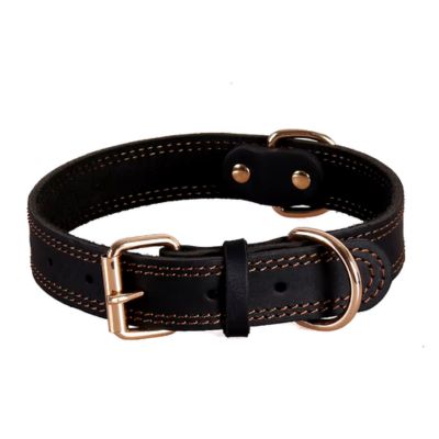 collier-chien-cuir-noir