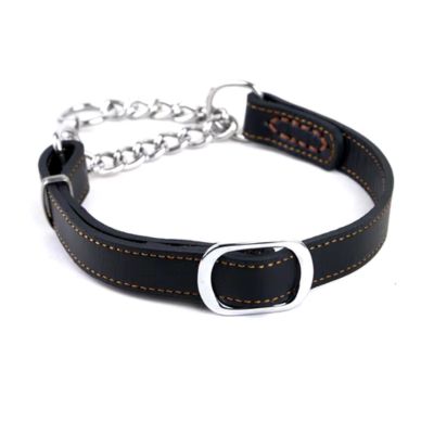 collier-cuir-chien-noir