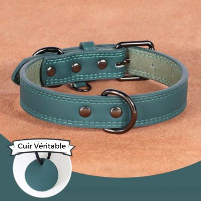 collier-cuir-chien-vert-petit