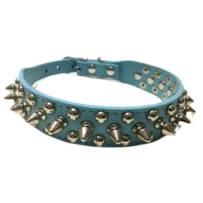 collier-cuir-chien-vert