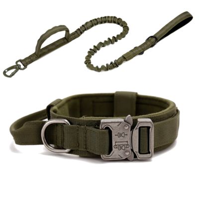 collier-pour-chien-vert