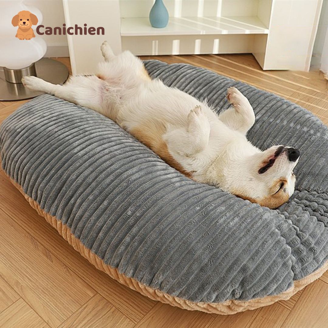 Coussin anti stress chien | TranquiPaw™