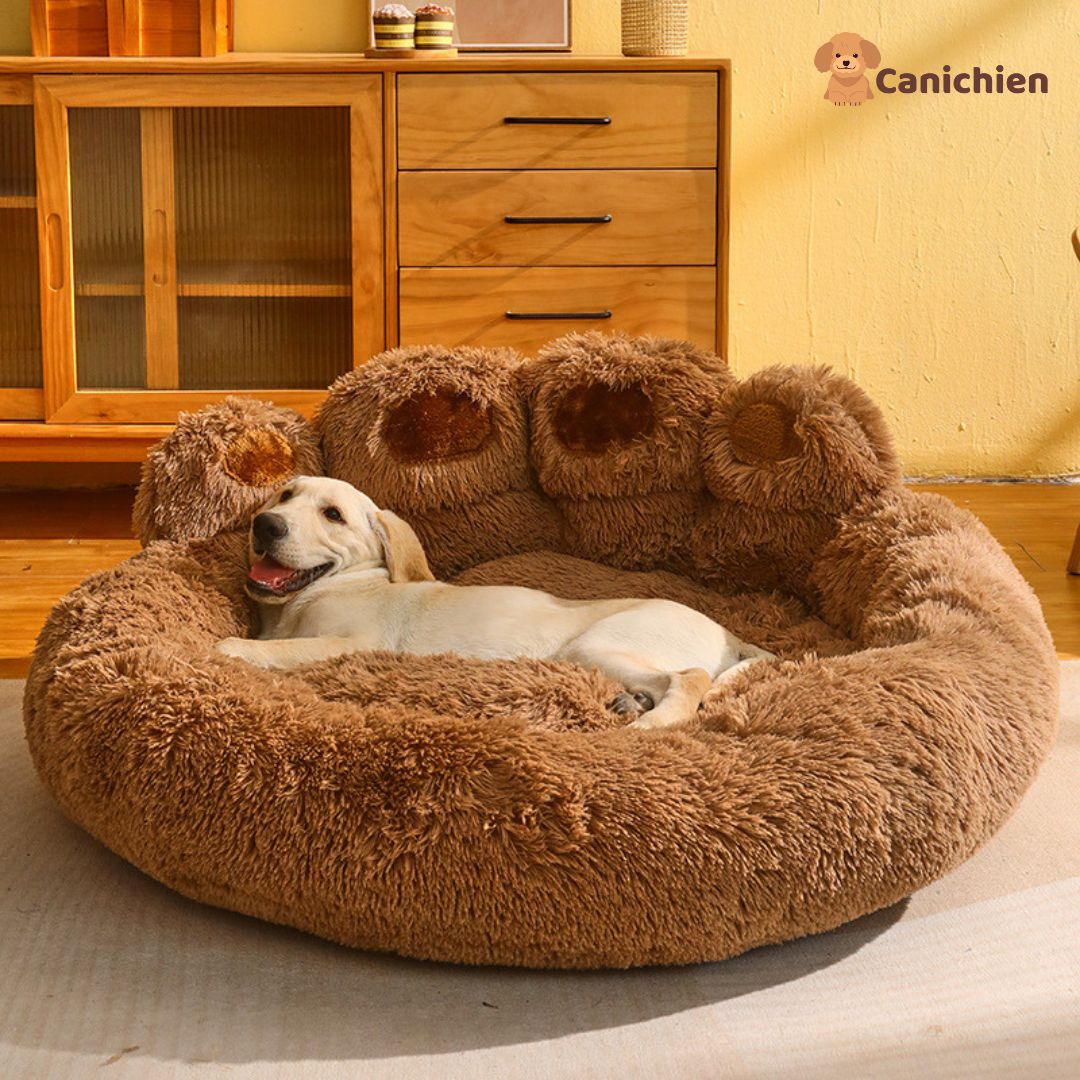 coussin-chien-brun-apaisant