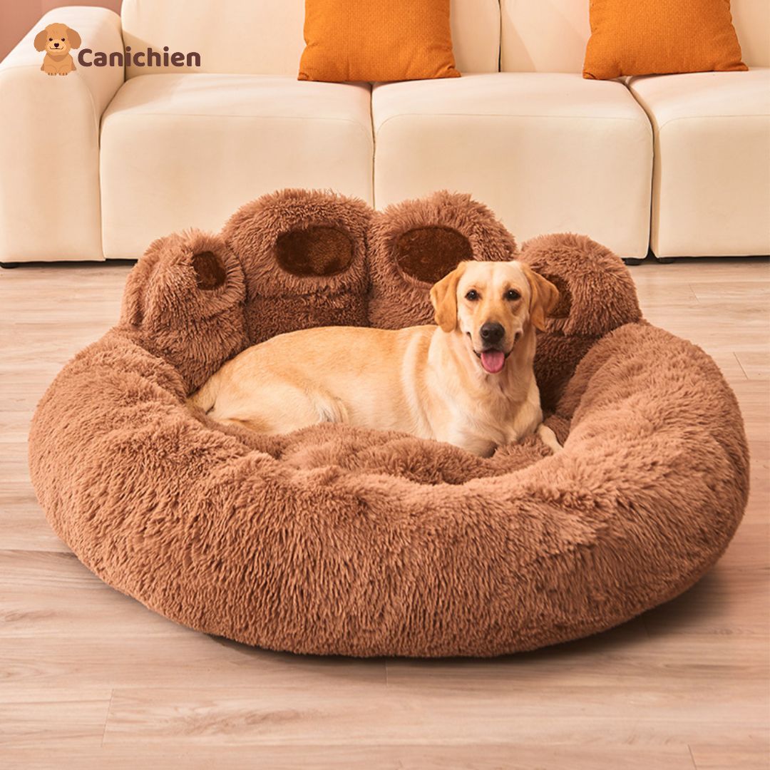 coussin-chien-brun-variante