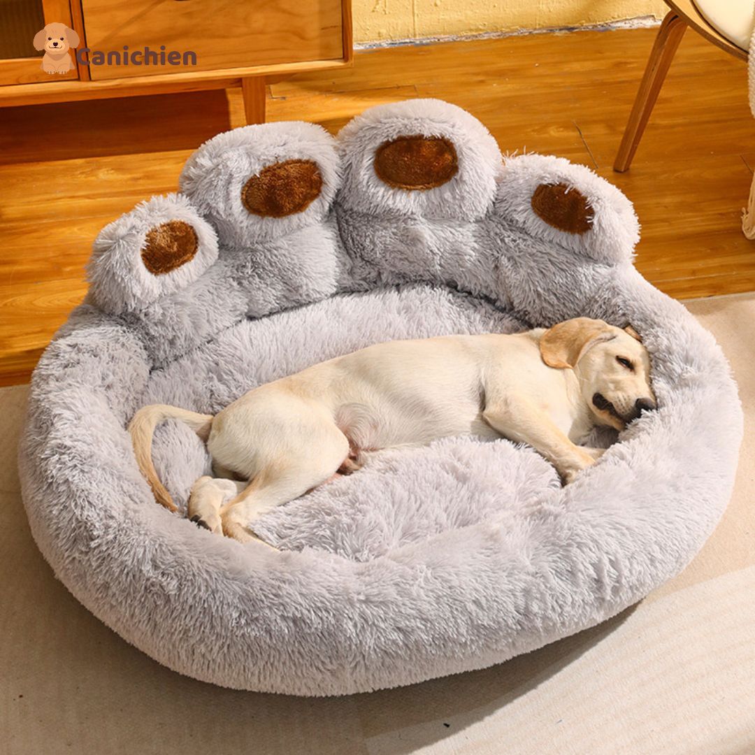 coussin-chien-gris-variante