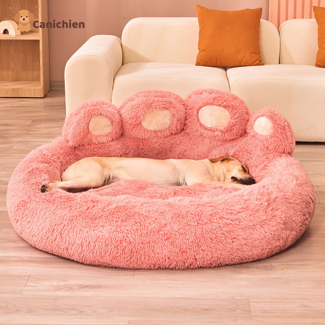 coussin-chien-rose-chien-dort