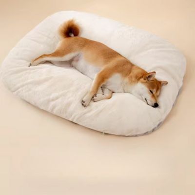 coussin-pour-chien-dousx