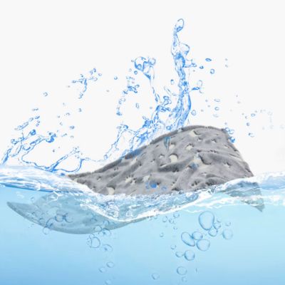 couverture-chien-illuminer-lavable