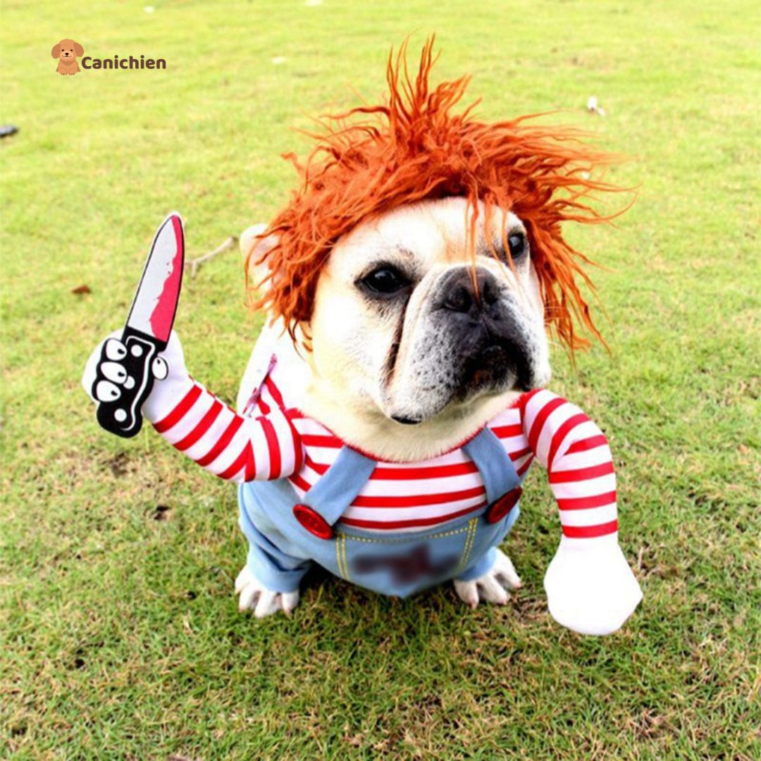 DEGUISEMENT CHIEN | ChuckyDog™
