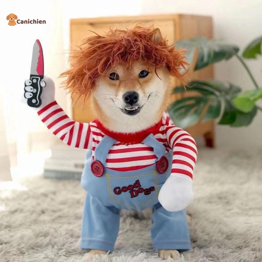 DEGUISEMENT CHIEN ChuckyDog CANICHIEN deguisement-chien-chuckydog-canichien