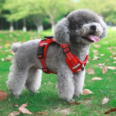 harnais-anti-traction-chien-rouge-petit