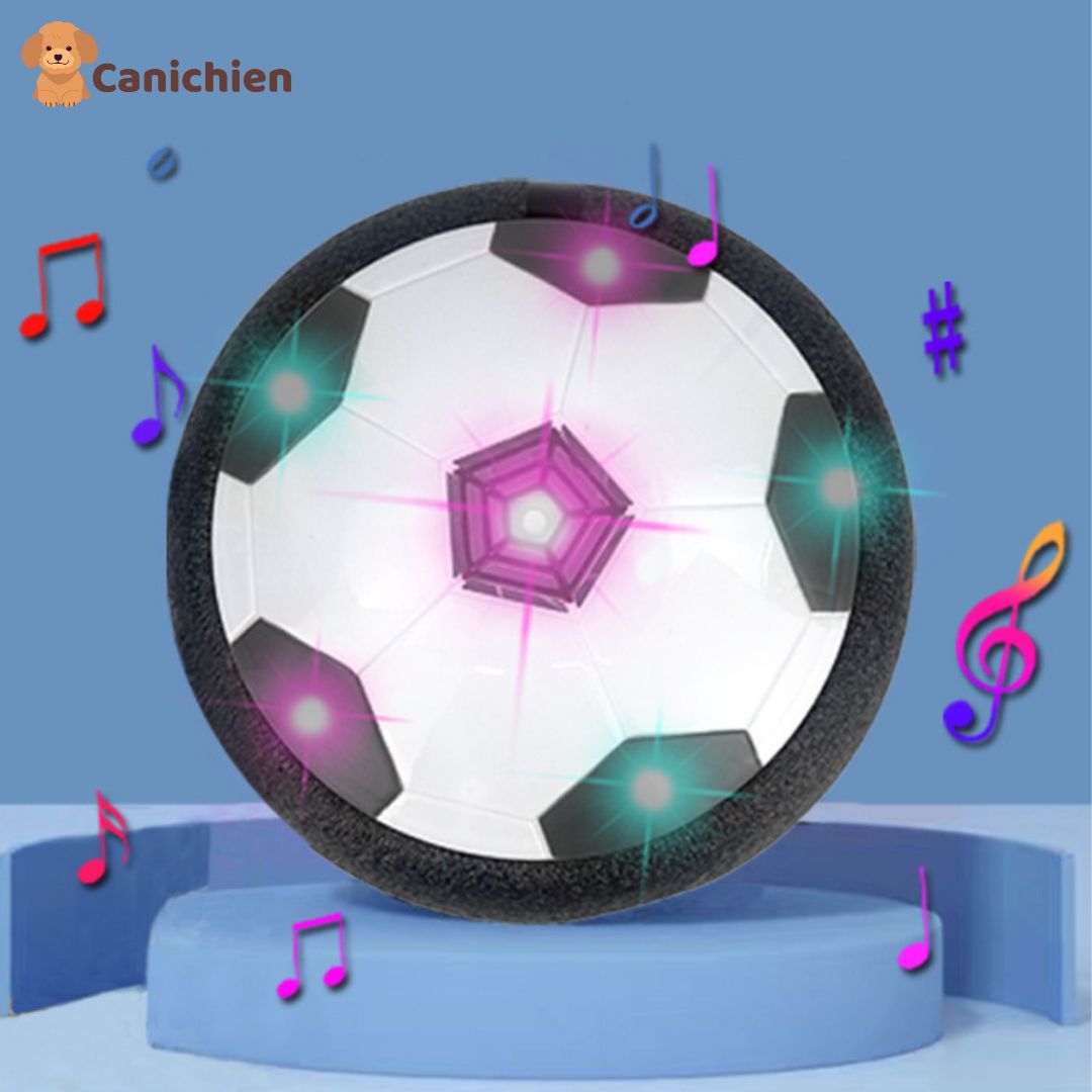 Jeu d'occupation chien | WoofAir™