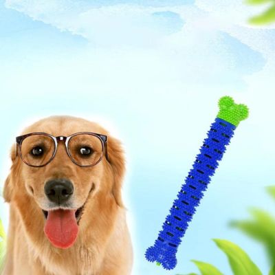 jouet-pour-chien-molaire