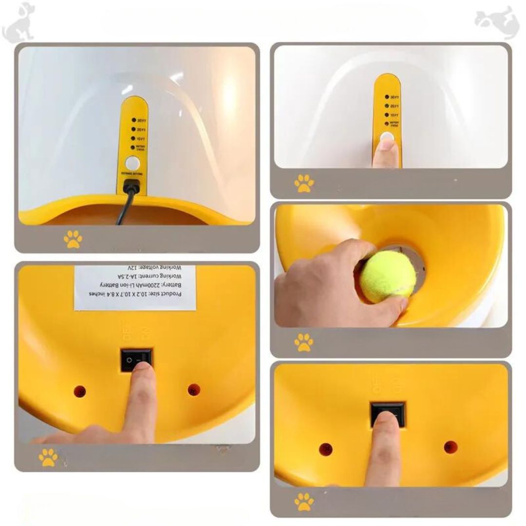 lanceur-de-balle-pour-chien-utilisation