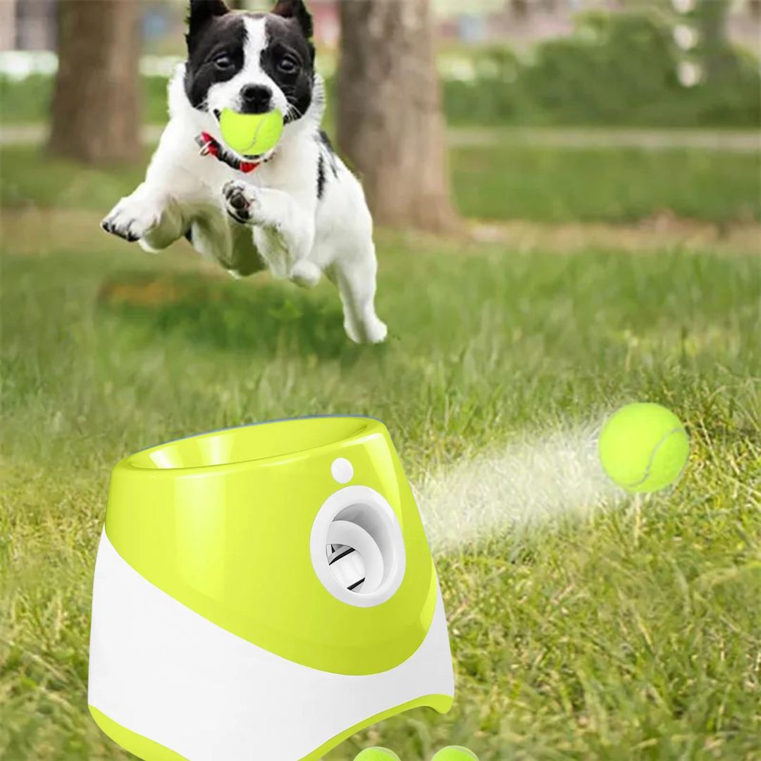 Lanceur de balles | RocketDog™