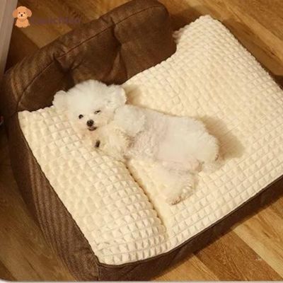 lit-chien-brun-petit