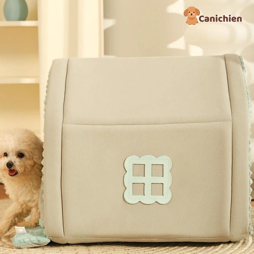 maison-pour-chien-coter