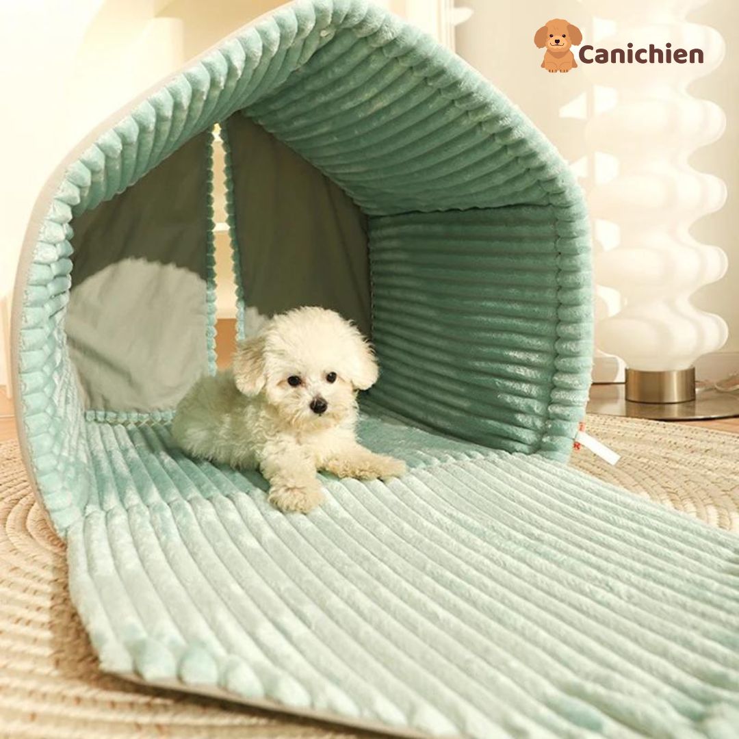 maison-pour-chien-interieur