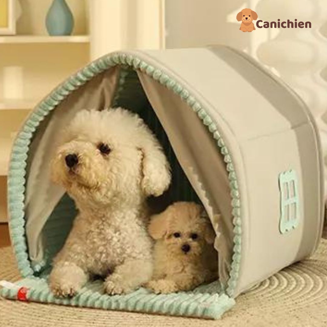 maison-pour-chien-taille-L