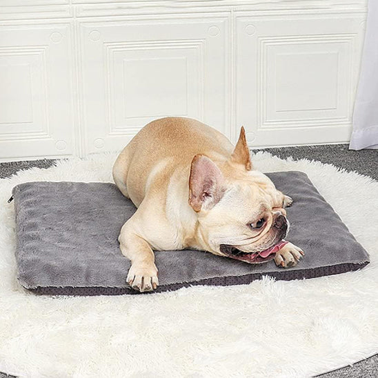 matelas-pour-chien-apaisant